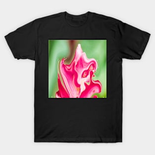 Flowing Ginger T-Shirt